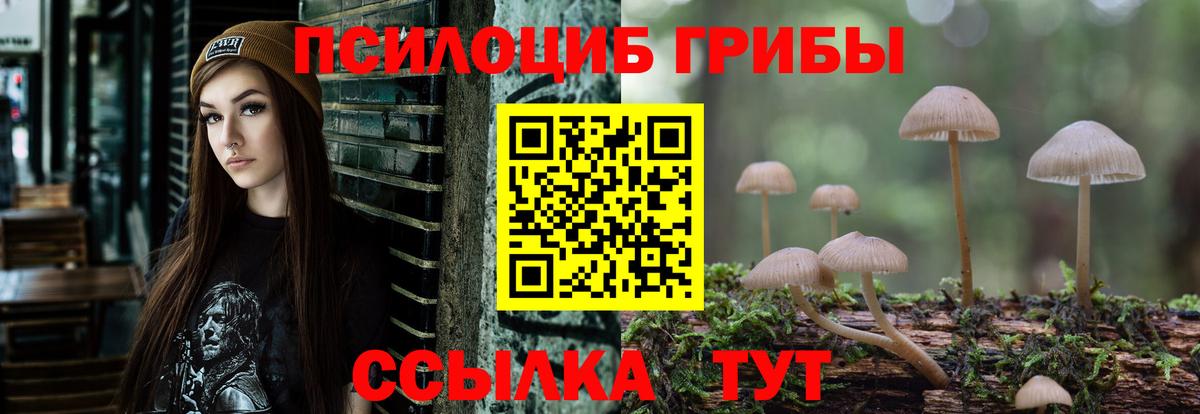 Шарыпово  Псилоцибиновые грибы Psilocybe  Галлюциногенные грибы Psilocybine cubensis  Вход с VPN 