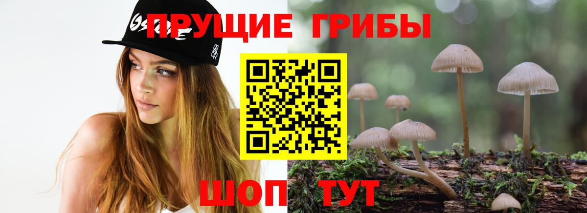 Псилоцибиновые грибы мицелий Шарыпово